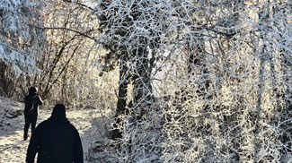 burgberg, burggen, ringwall, frühmittelalter