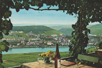 rüdesheim, rhein, rheingau, winzer, wein, bingen