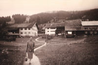 tannheim, berg, spaziergang