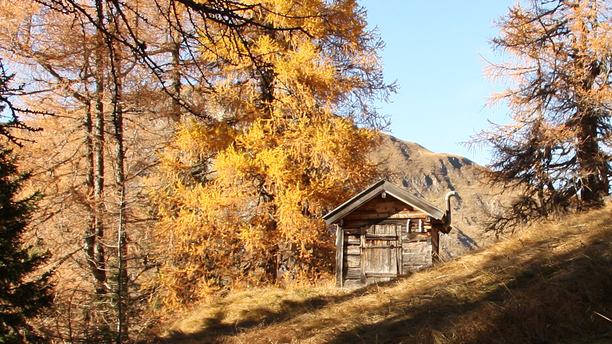 Schäferhütte Appenzell