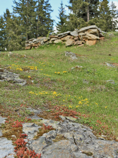 räter brandopferplatz opferaltar tieropfer heiligtum piller höhe sattel