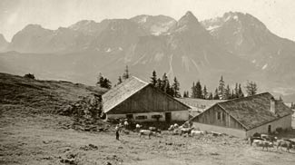 lermooser-alm  tuftlalm  lermoos  sonnenspitze