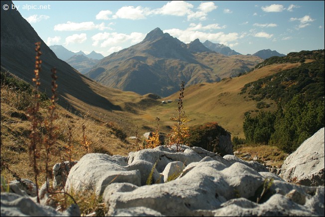 hochtal lechleitner alpe
