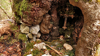 marien-grotte, baumhöhle
