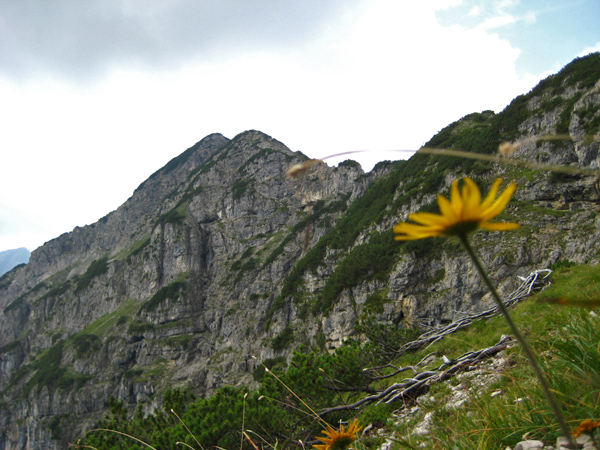 der Kieneckspitze entgegen kieneckspitze