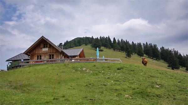 die Stepbergalm stepbergalm
