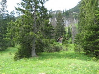 neualpe