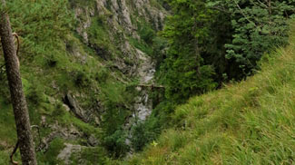 tobel