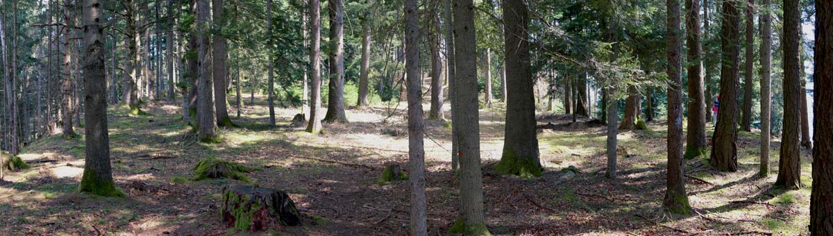 die einstige Siedlungsfläche am Pirchboden bei Fritzens