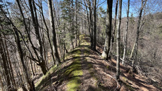 wallgraben