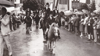 pferd pony reiter bundesmusikfest vils