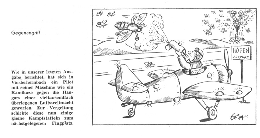 karikatur, bienen, motorflugzeug